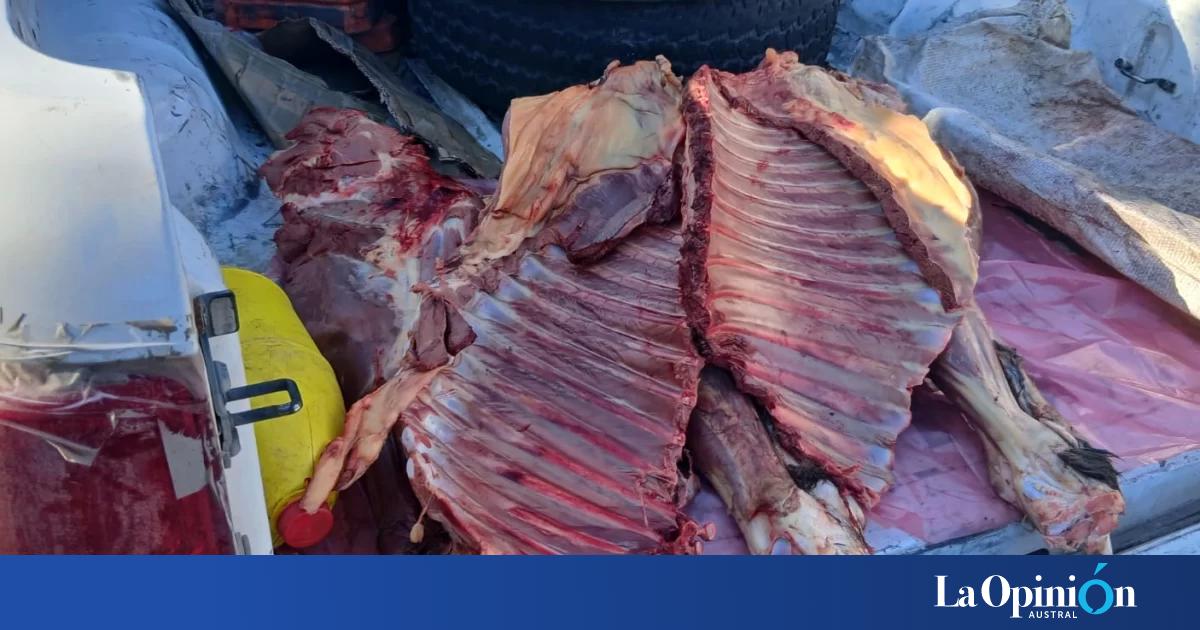 Le robó la potranca a su vecino y la faenó para un asado