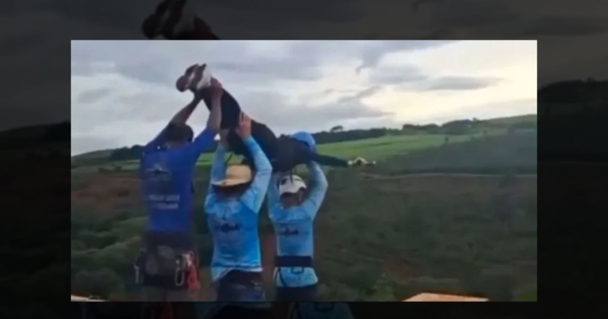 Brasil: conmoción por la muerte de una jóven tras un salto de bungee jumping