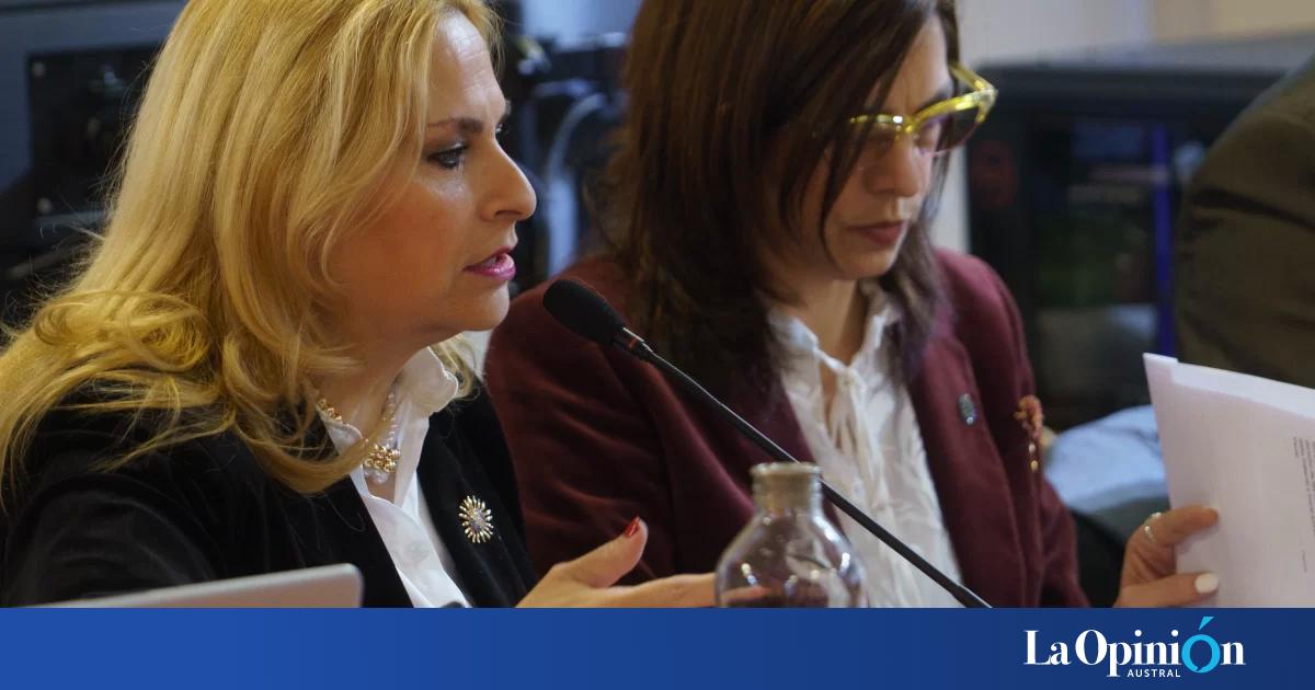 Juicio Ara San Juan: la querella de la mayoría de los familiares pidió 5 años de prisión para los cuatro acusados