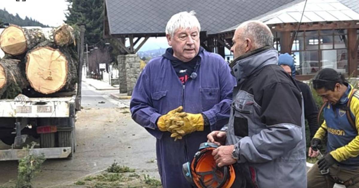 Polémica en Bariloche por la decisión oficial de retirar pinos de la costanera