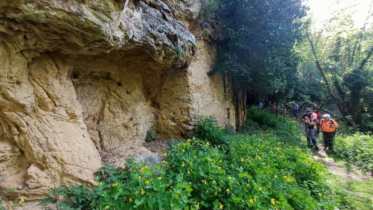 FotoDocs: La Balma Obrada del Grau