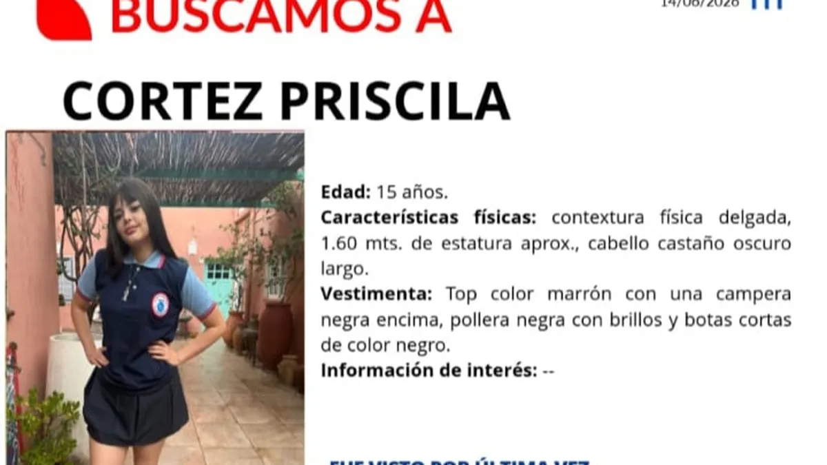 Buscan a una adolescente de 15 años desaparecida en la zona norte