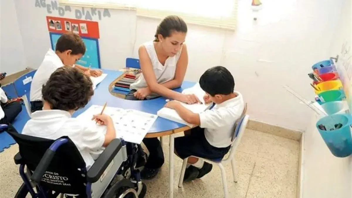 Impulsan una iniciativa para regular por ley la labor de los DAI y garantizar su inclusión en la educación de San Juan