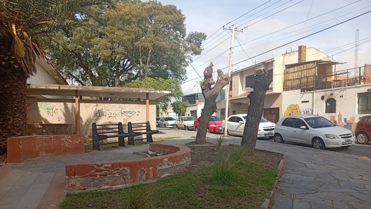 Vecinos expresaron su malestar por la poda de árboles en la Manzana de Salud