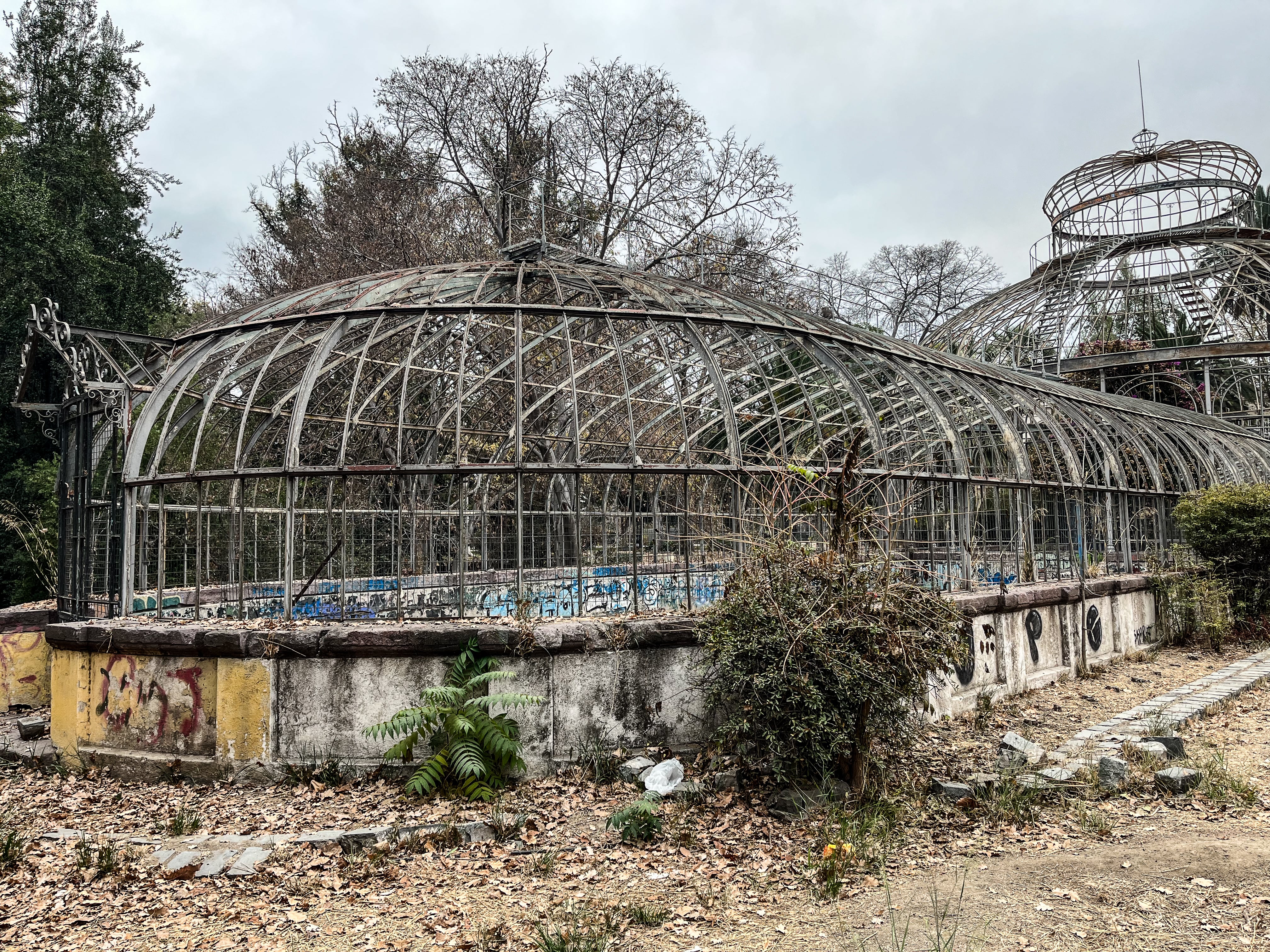 Lleva más de 100 años abandonado: iniciativa busca rescatar el invernadero del Parque Quinta Normal