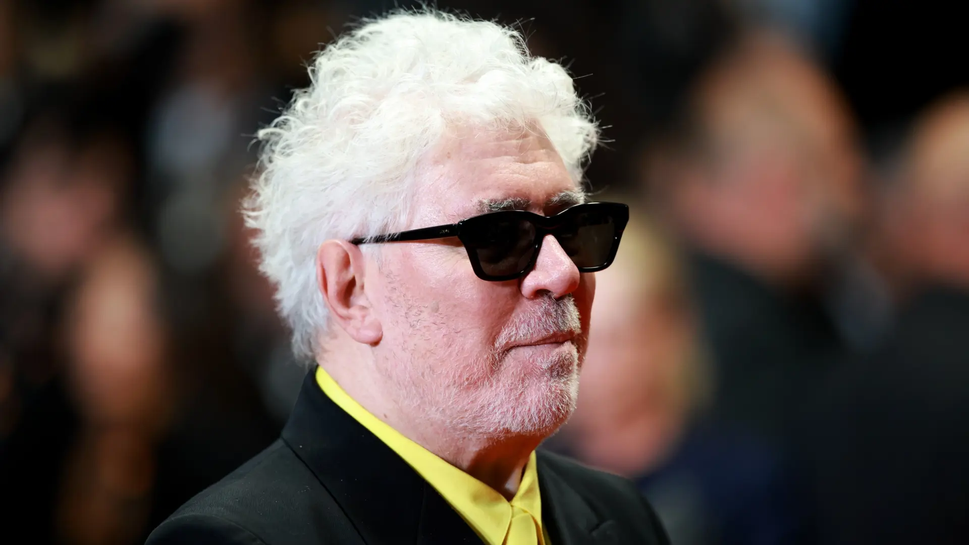 Pedro Almodóvar publicará su primera novela, 'El hombre que solo escribía en los aviones', en octubre