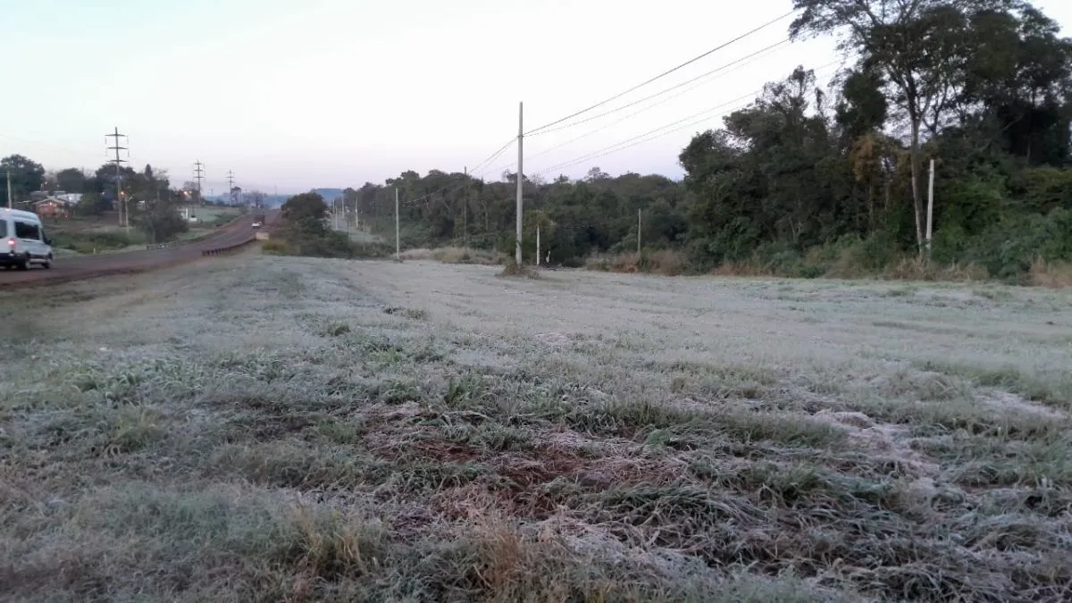 Heladas y frío extremo: este jueves Misiones registró temperaturas bajo cero