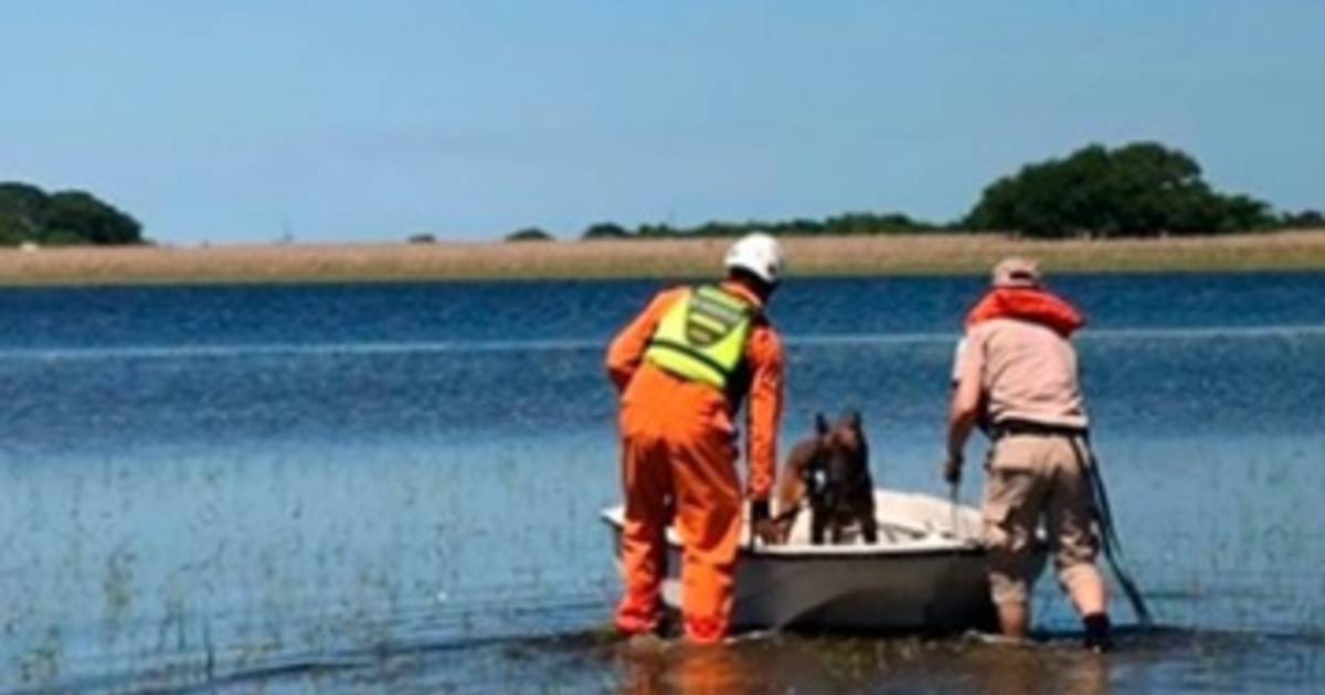 Buscan a un hombre que desapareció en una laguna en General Paz