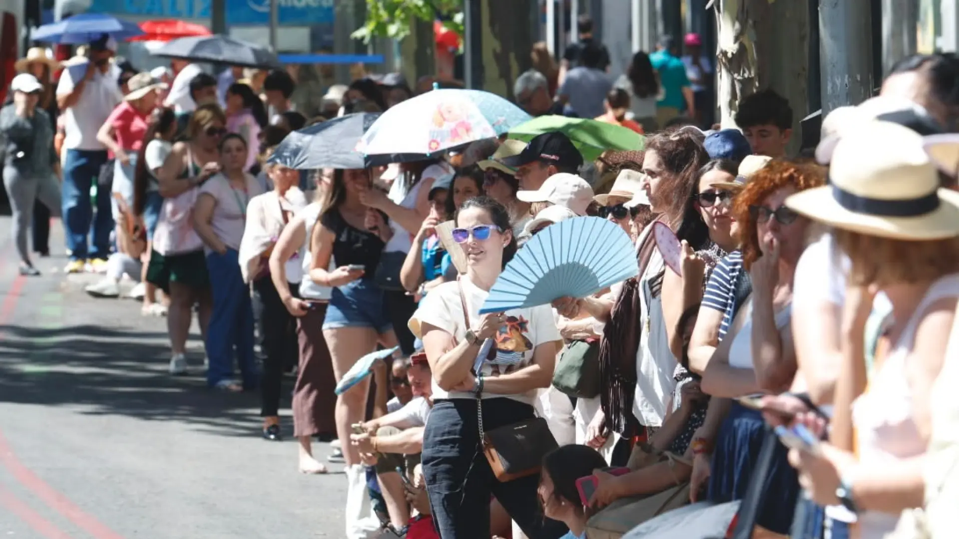 Más de 200.000 personas asisten al último recorrido de León XIV en papamóvil durante su visita a Madrid