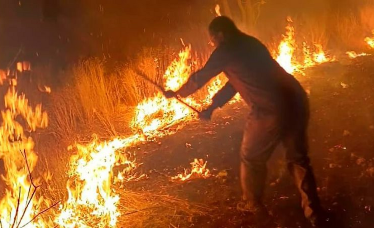 España registra incendios forestales en medio de la ola de calor