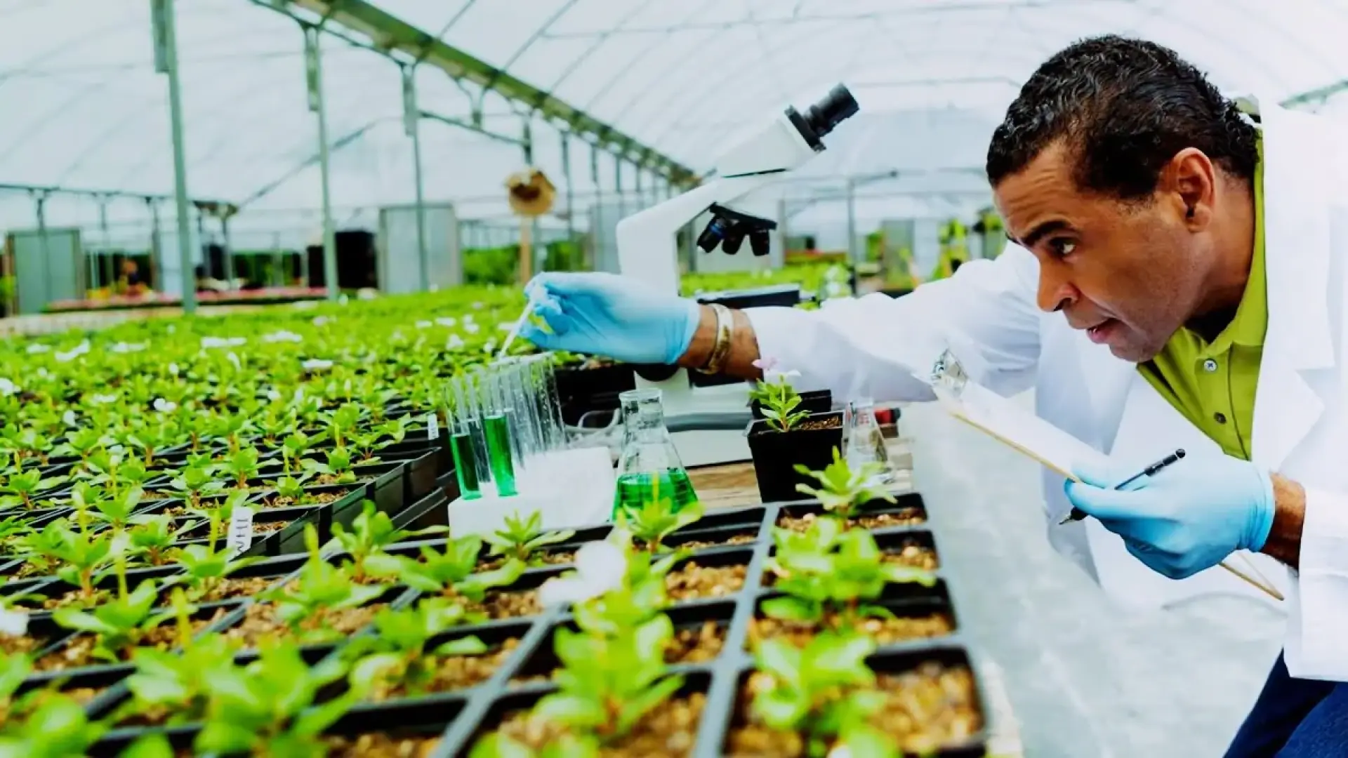 Europa da vía libre a la modificación genética de semillas y rediseña el futuro de la agricultura