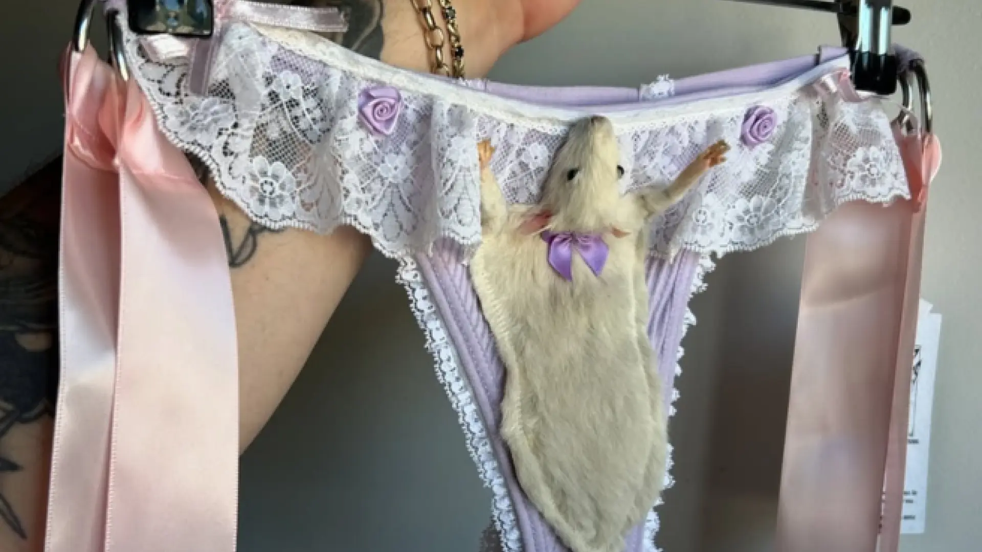 Una diseñadora australiana utiliza ratas reales disecadas para hacer lencería