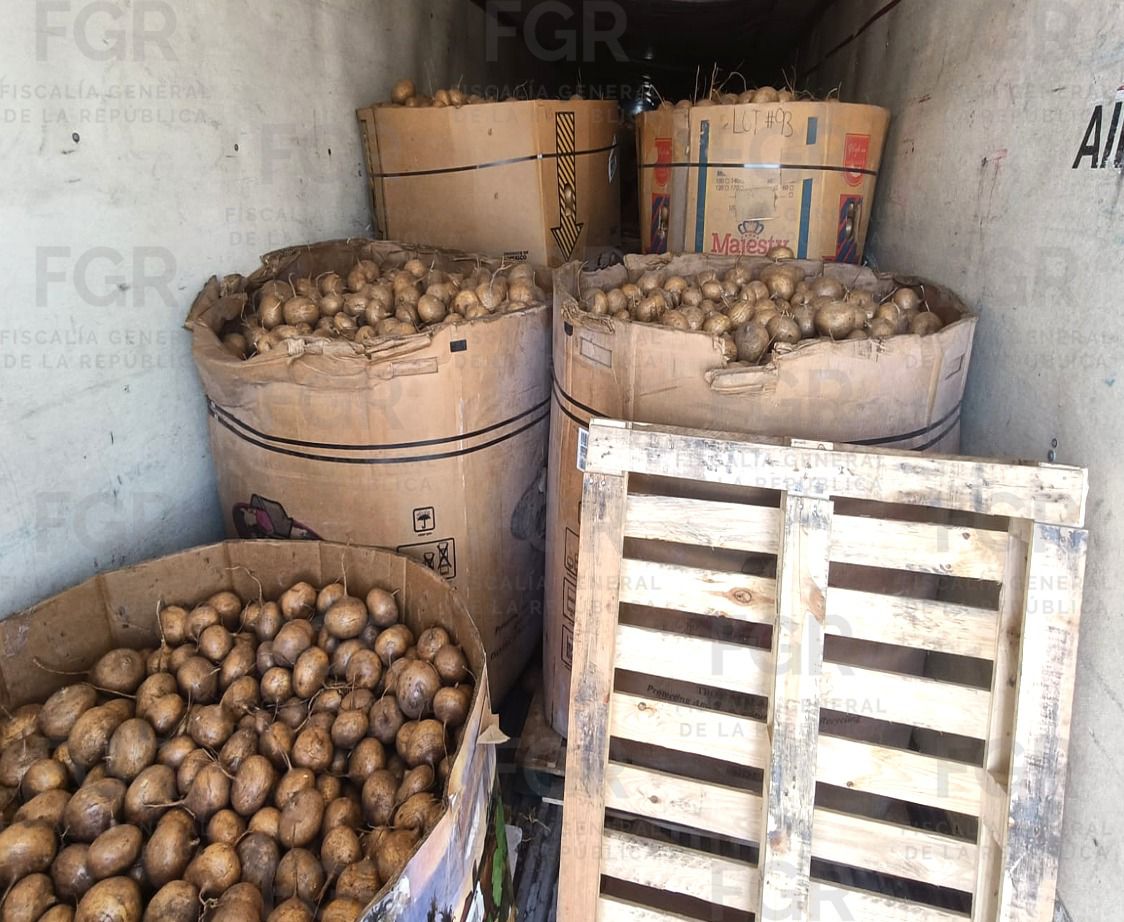 FGR asegura tonelada metanfetamina en camión de jícamas