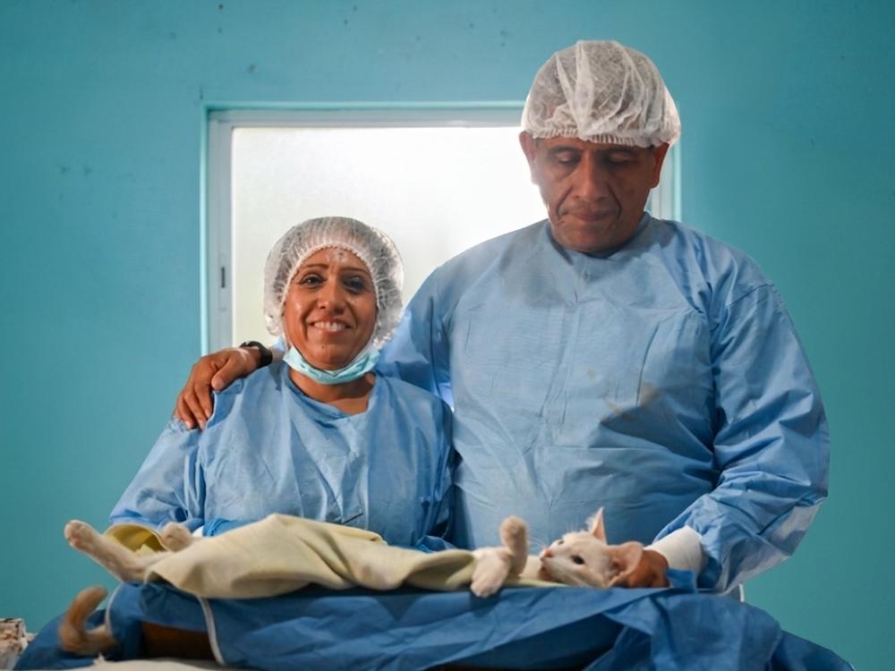 ¿Vives en Lerdo y buscas esterilizar a tu mascota? Esto te interesa