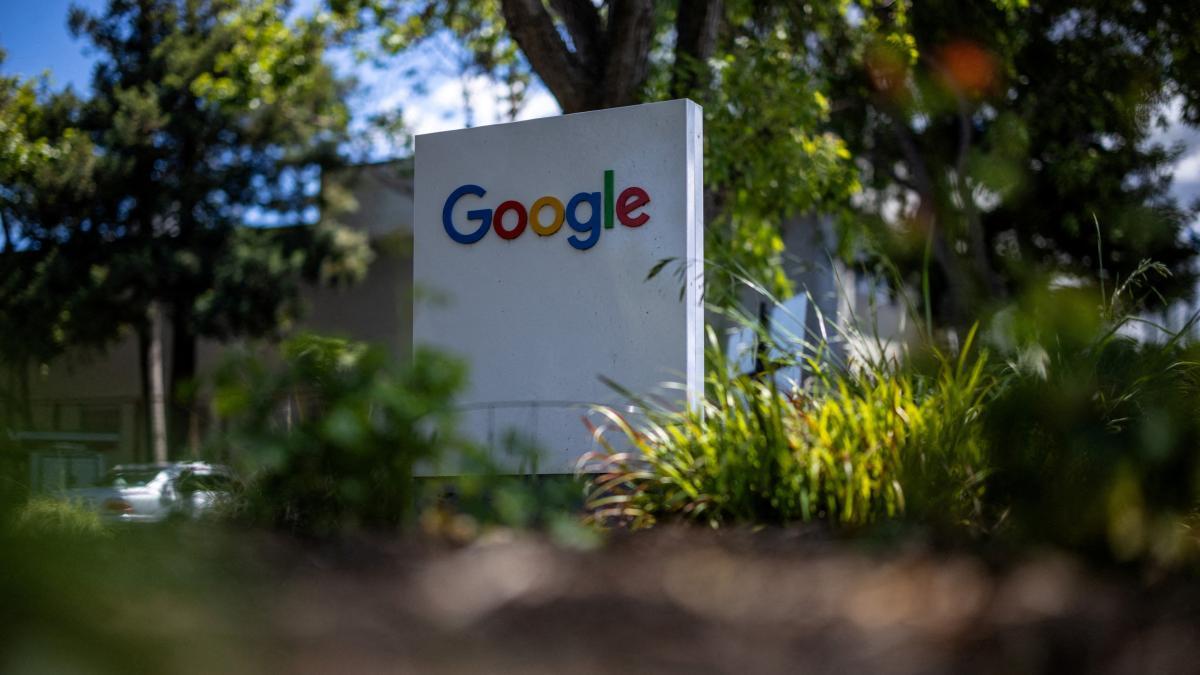 Google planea liberar 32 millones de mosquitos en Estados Unidos