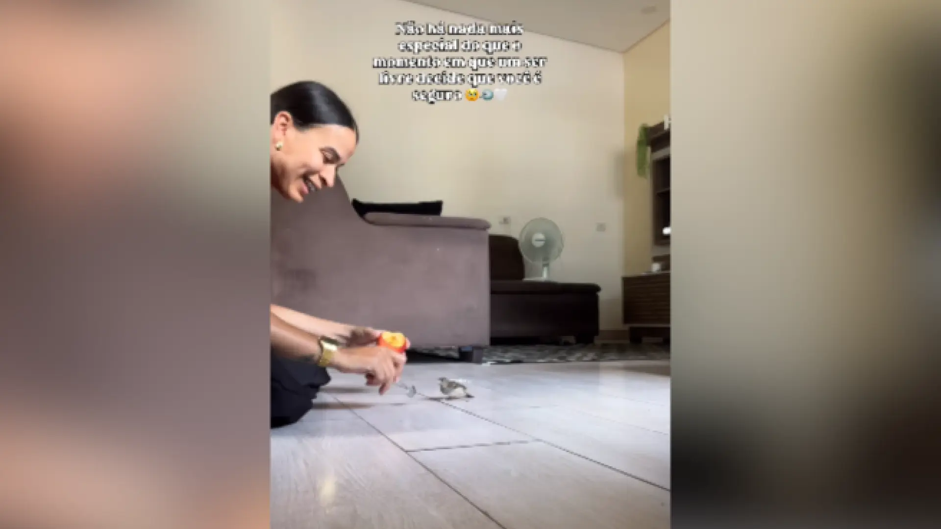 El emotivo vídeo de una joven tras rescatar a un pájaro al caer del nido: "No hay nada más especial"