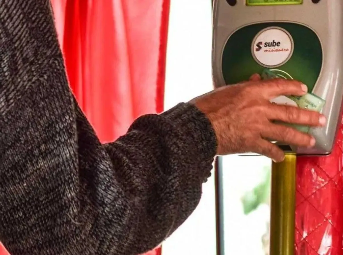 Discapacidad: Misiones aplica la gratuidad digital en transporte desde hace 12 años