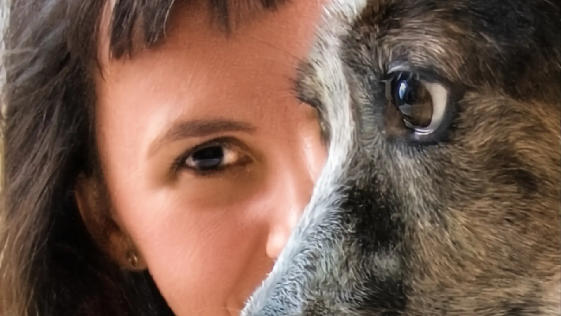 Así perciben el mundo los perros: menos colores y más protagonismo del olfato