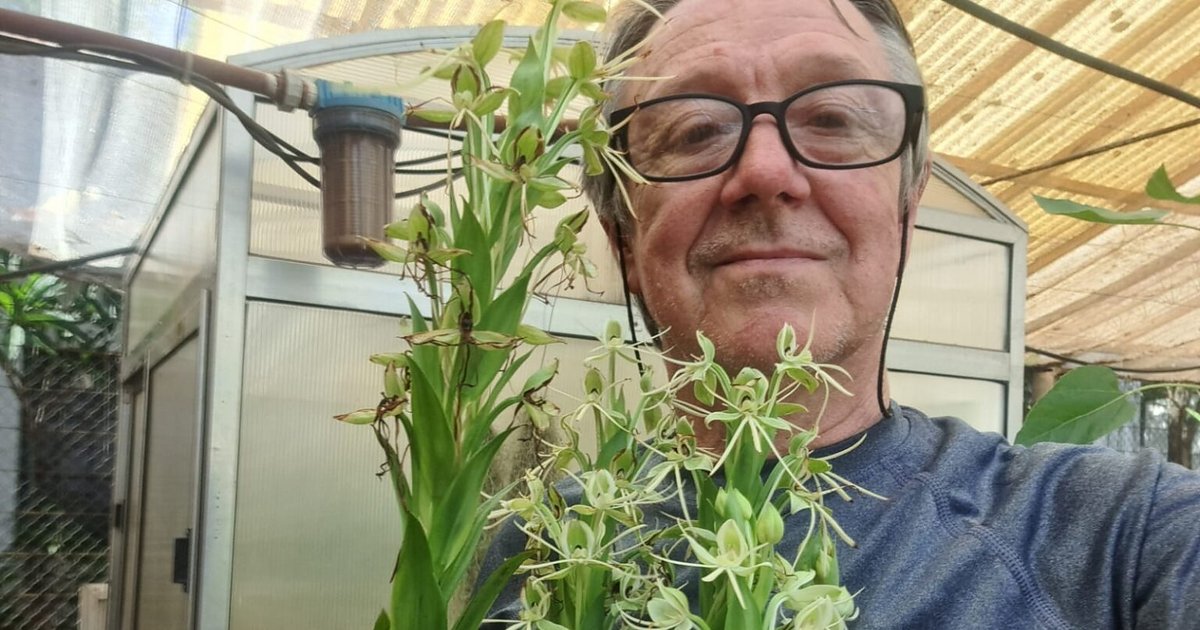 El híbrido de orquídea N°100 de la Unne lleva el nombre de un investigador correntino