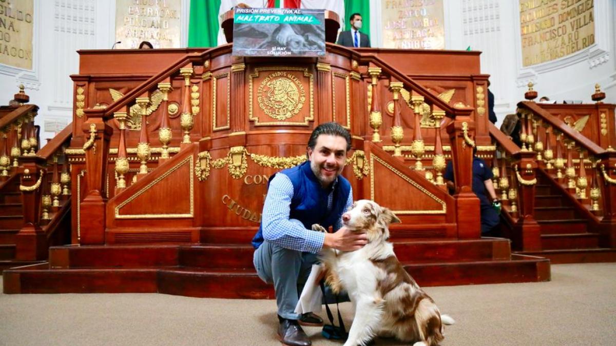 Pide PVEM crear fiscalía para delitos contra animales