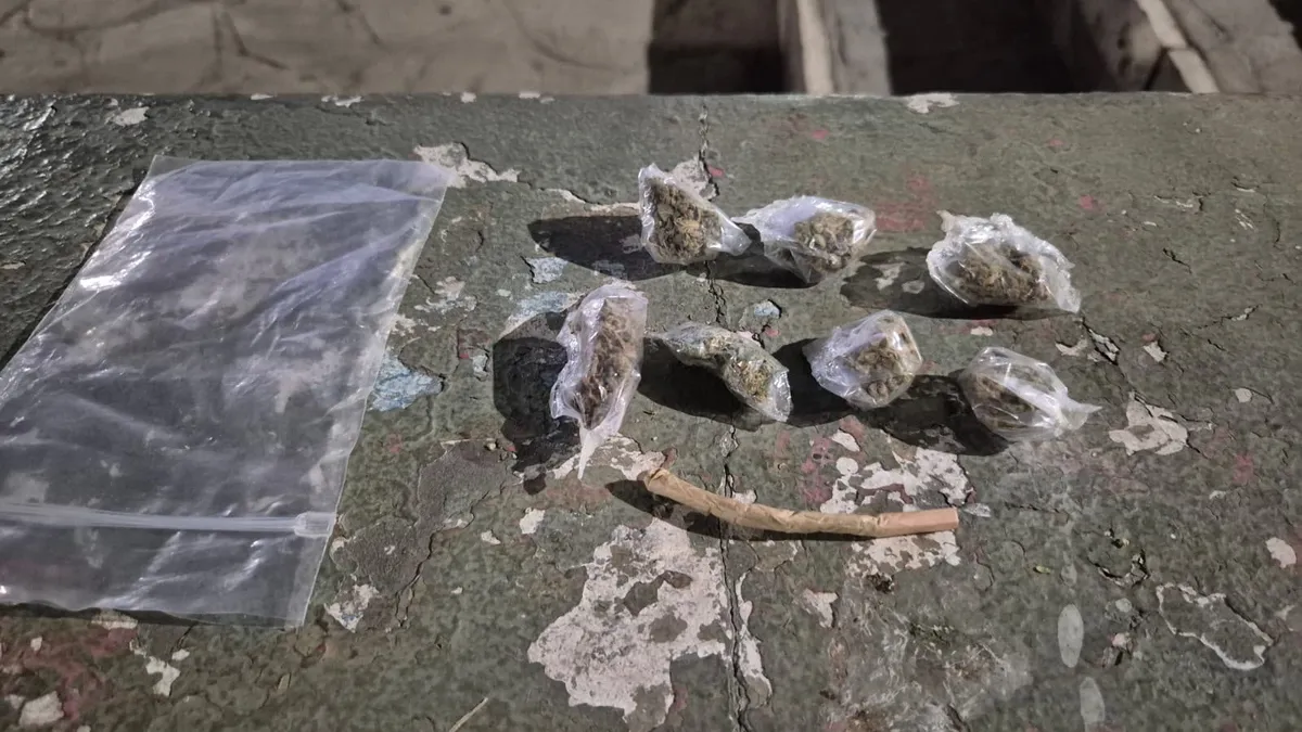 Demoraron a una adolescente de 17 años con marihuana durante un operativo en Plaza de La Joroba