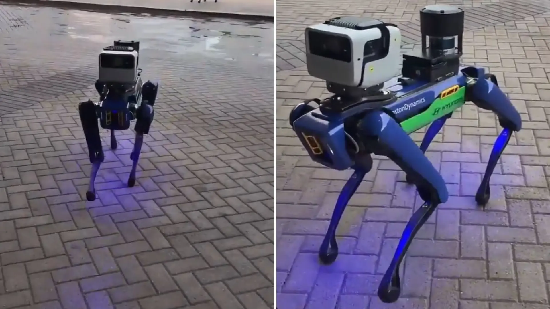 Los perros robots vigilarán los partidos del Mundial, pero reabren el debate sobre la seguridad