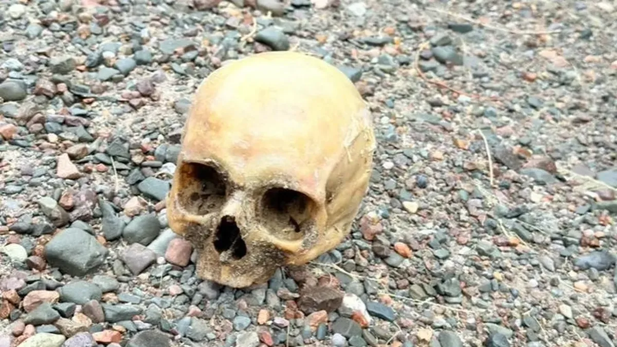 El cráneo hallado en Punta Negra pertenece a una mujer y descartan que haya muerto de forma violenta