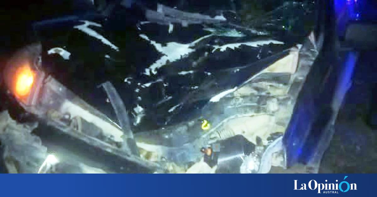 Violento choque contra un caballo en El Calafate: una familia salvó su vida de milagro sobre la Ruta Provincial 11