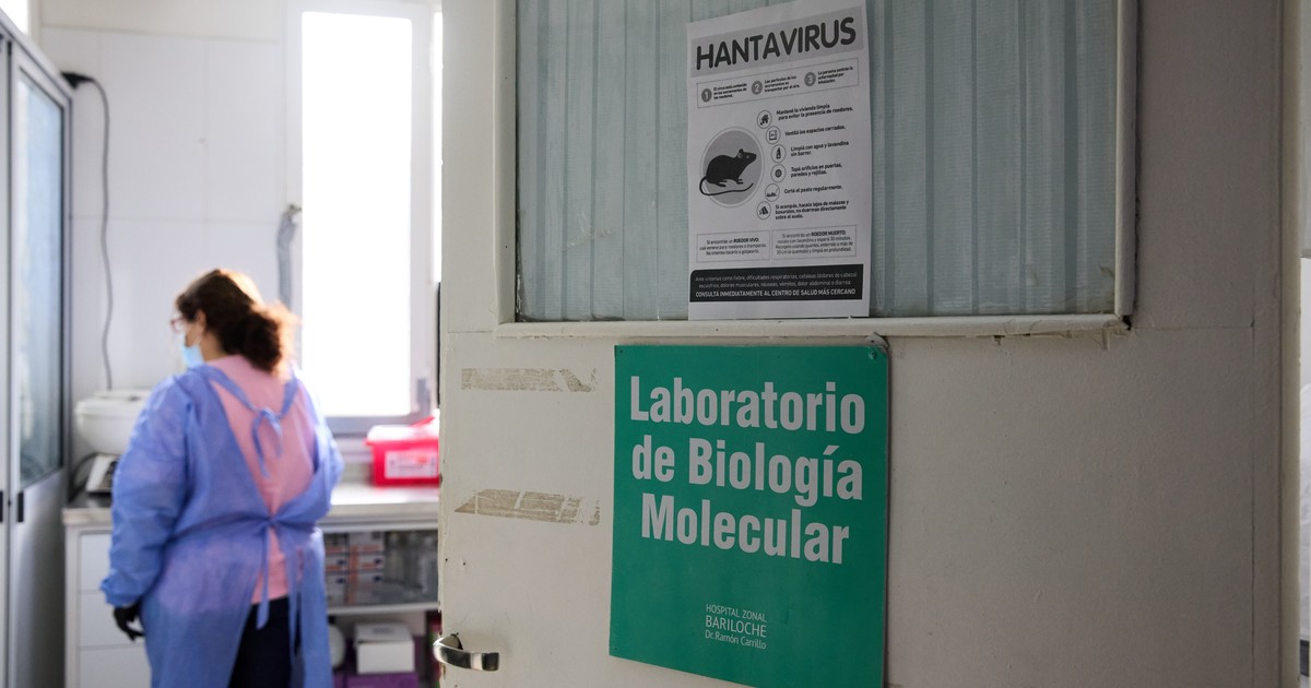 Bariloche: una mujer murió tras contraer hantavirus y piden reforzar las medidas de prevención