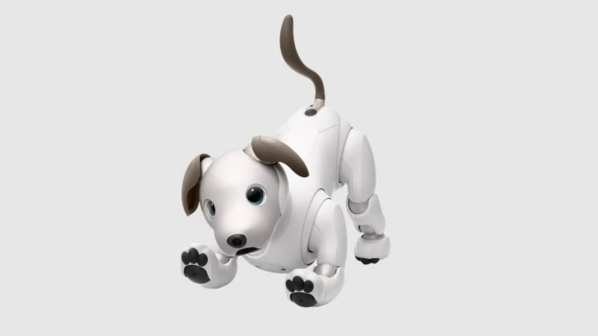 Sony detiene la venta de su icónico perro robot Aibo en Japón para centrarse en la IA