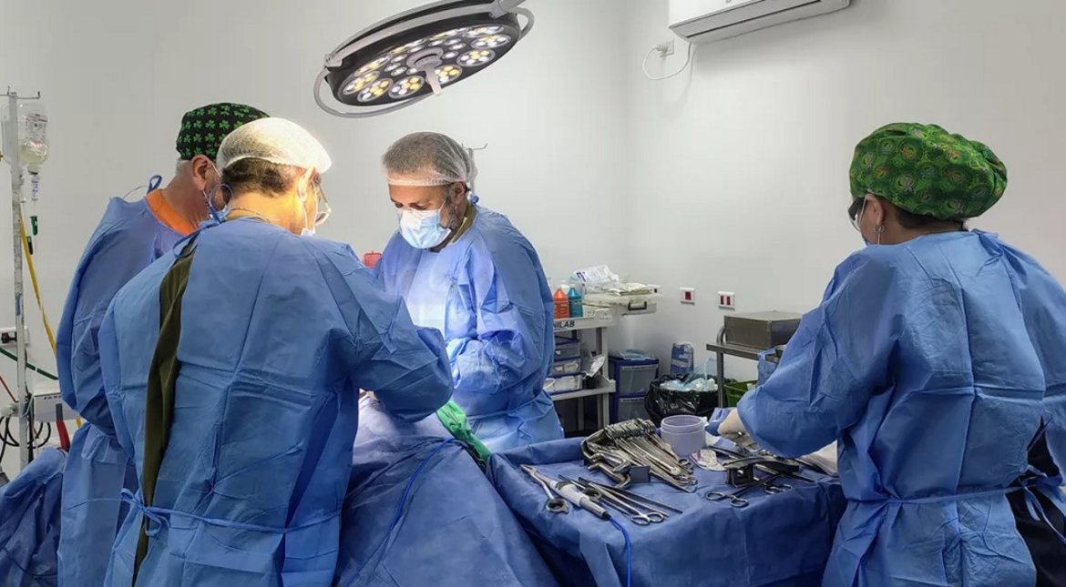 En la primera mitad del año se hicieron 12 trasplantes de riñón en el hospital Arturo Oñativia