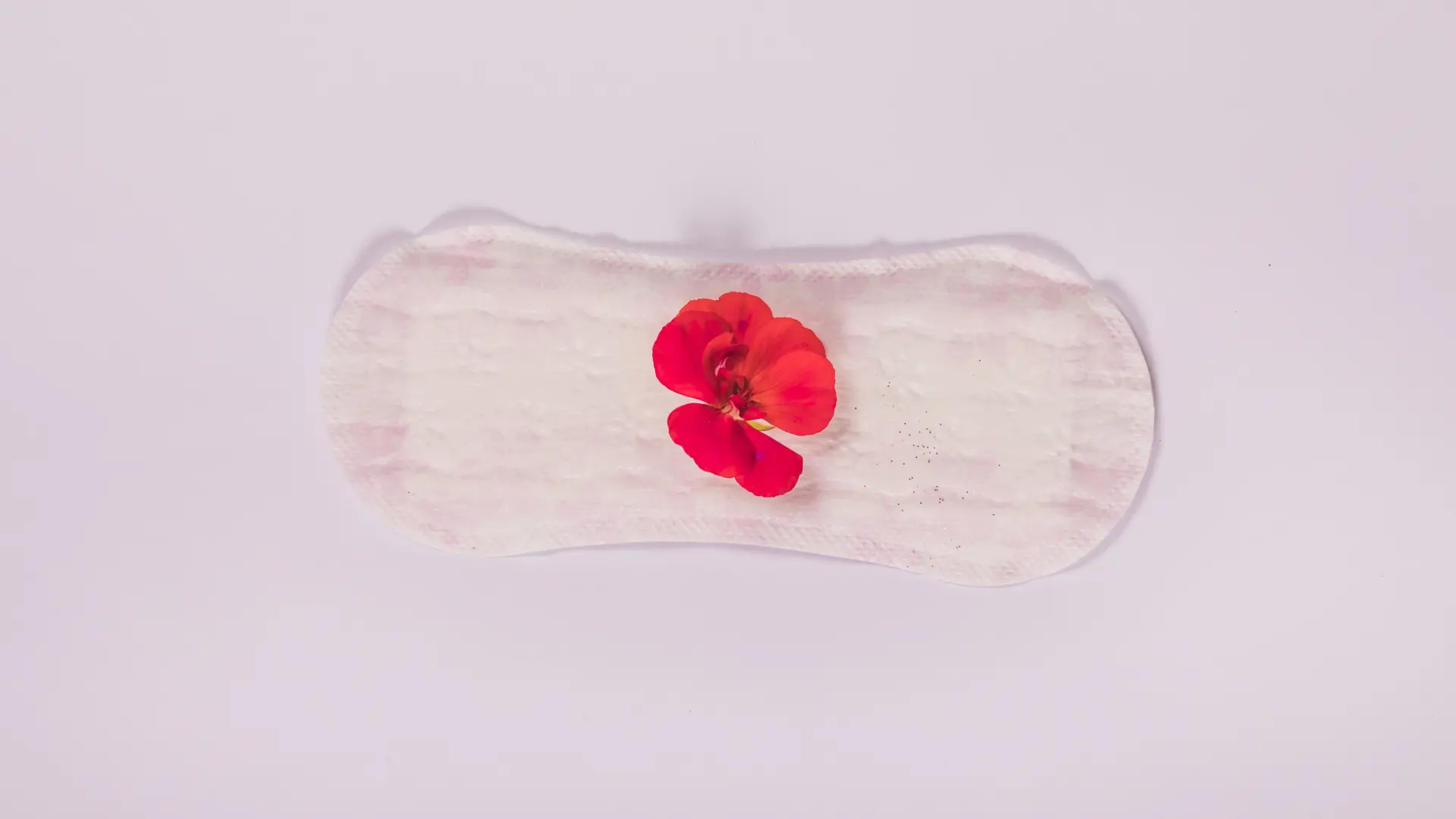 Un estudio sugiere que la sangre menstrual podría curar y cicatrizar