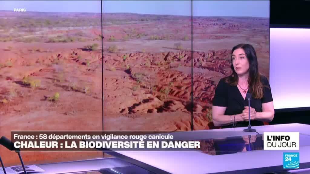Canicule : "la plus grande priorité, c'est de garder notre planète habitable"