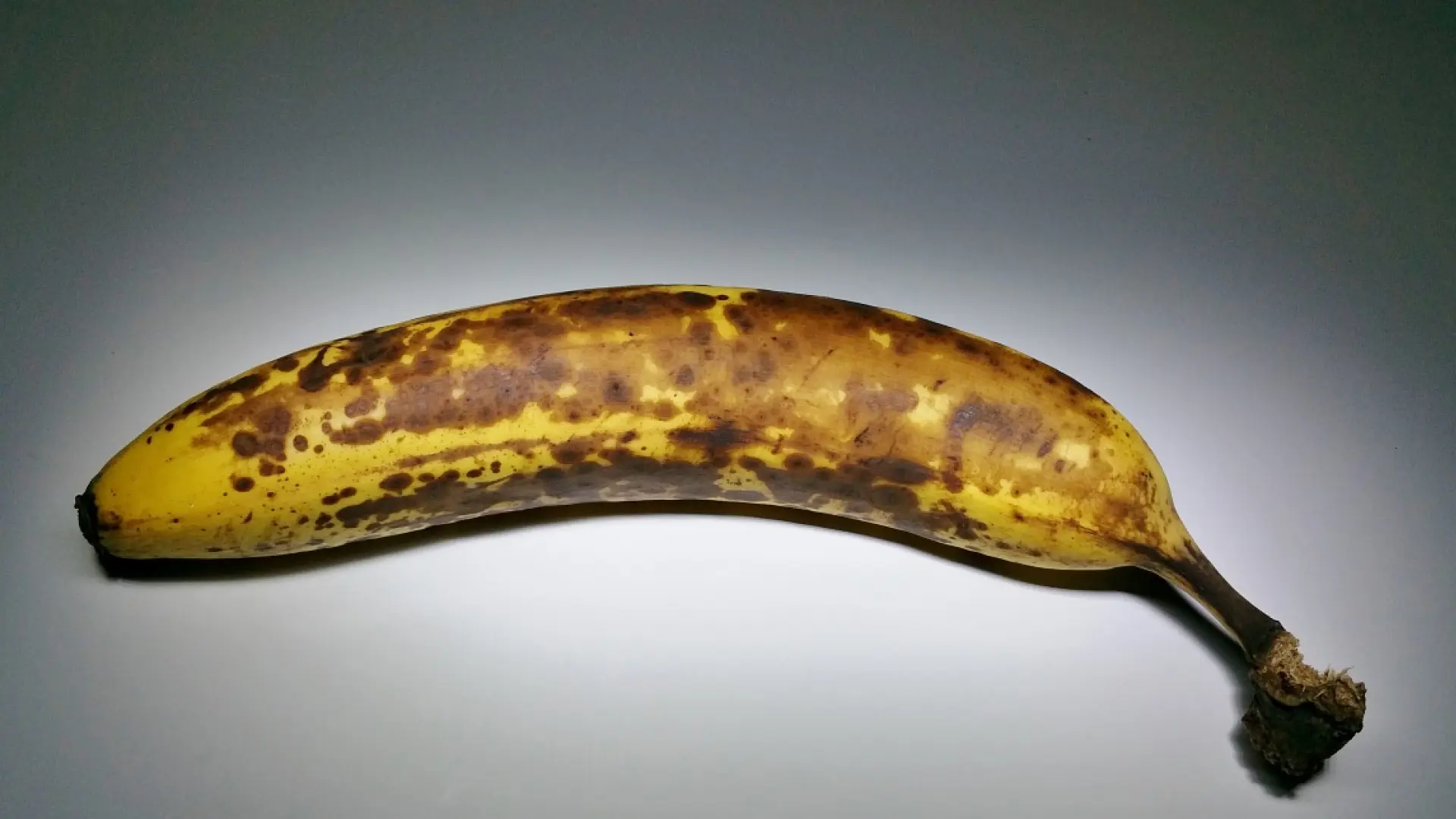 Cuatro señales que indican cuándo debes desechar algunos alimentos, según la ciencia