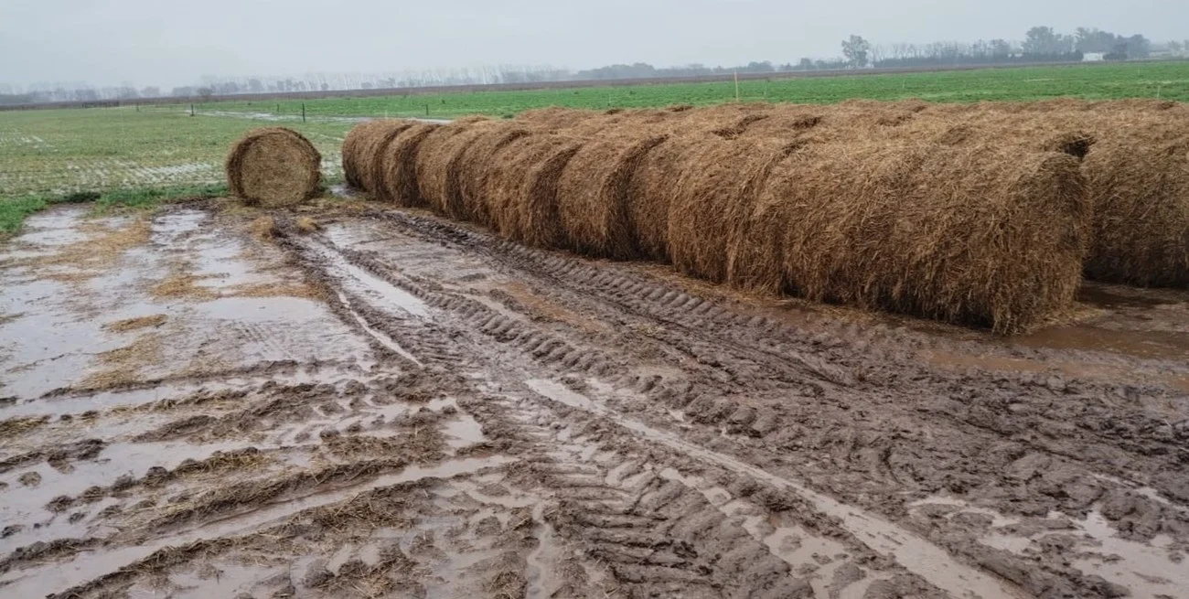Lluvias desparejas, leve repunte térmico y retorno de las heladas: el clima marcará la agenda del campo durante la próxima semana