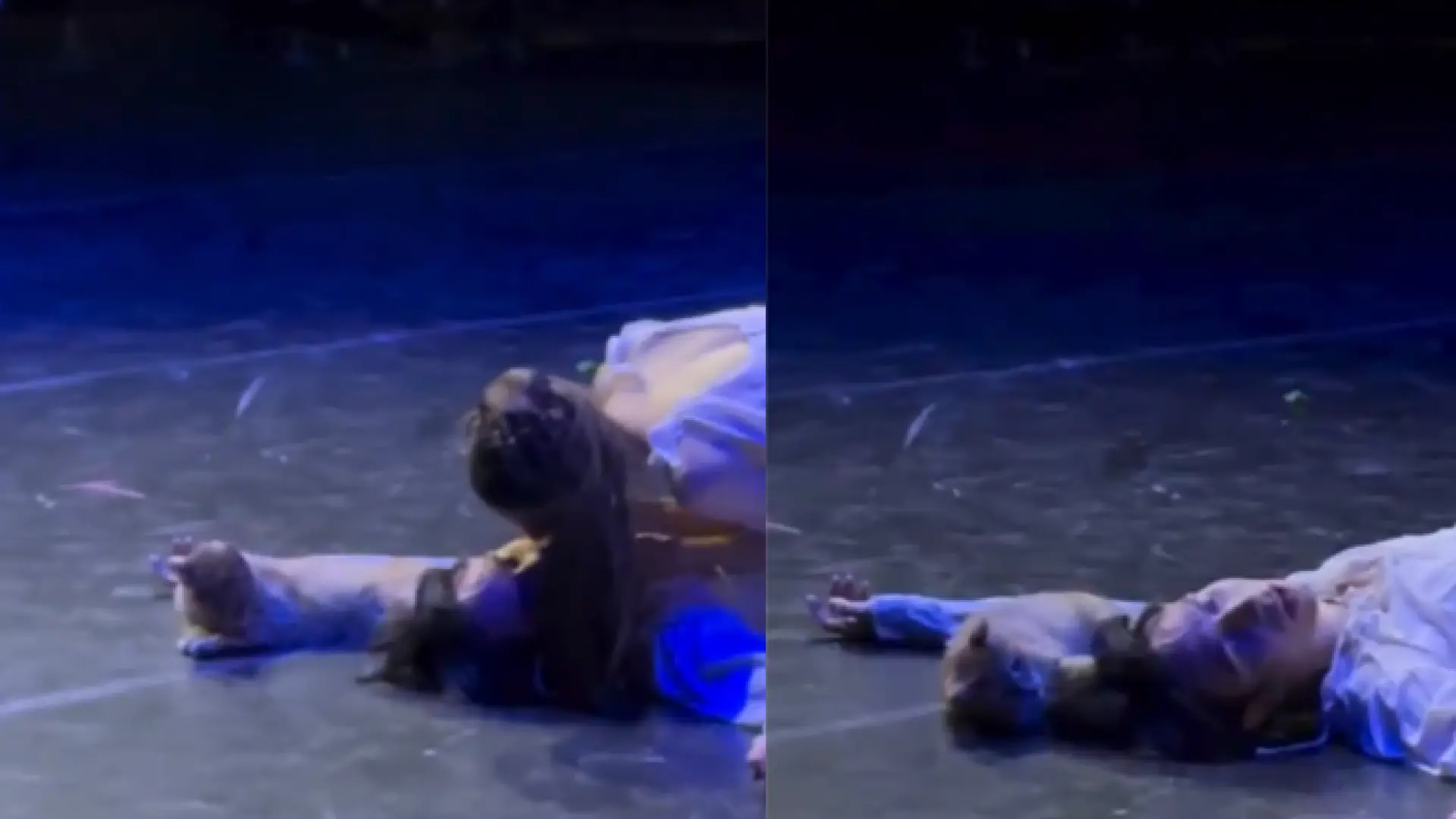 Un gatito se cuela en una representación teatral y el drama acaba en comedia