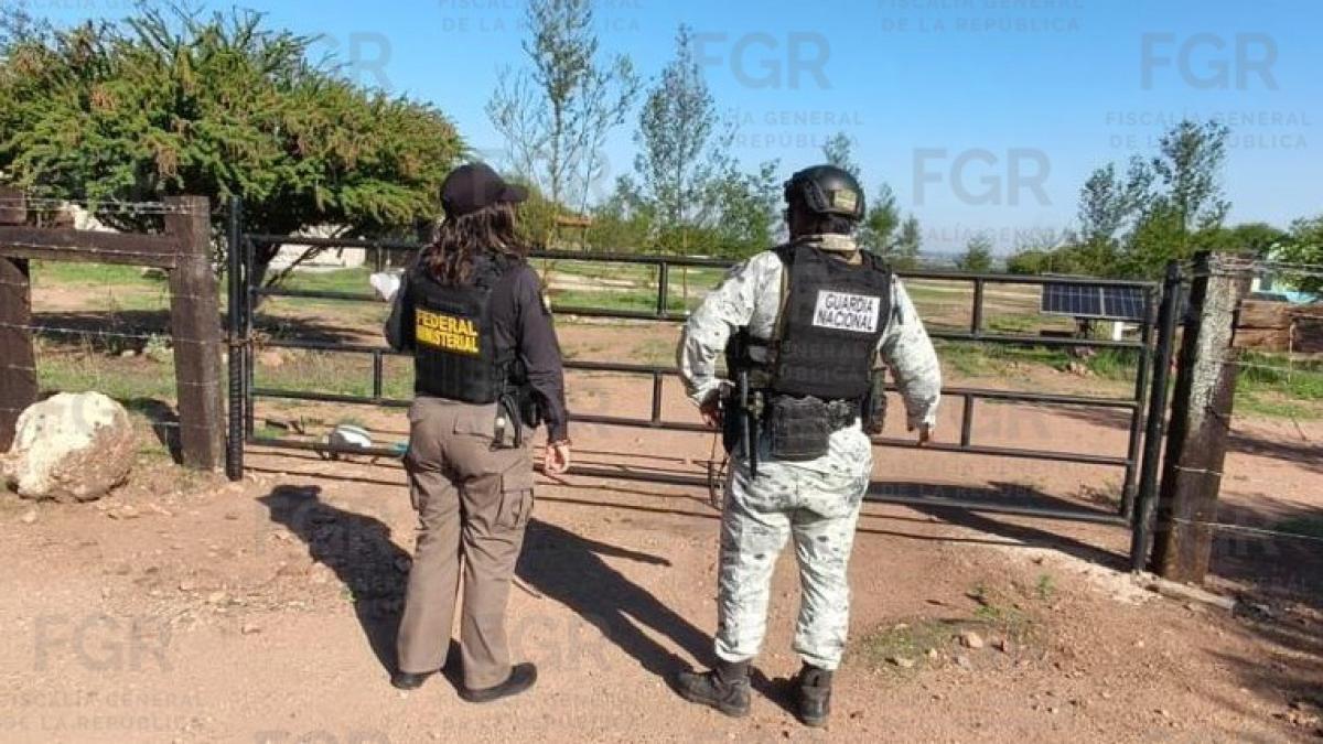 Aseguran armas, vehículos y droga tras cateo en Durango