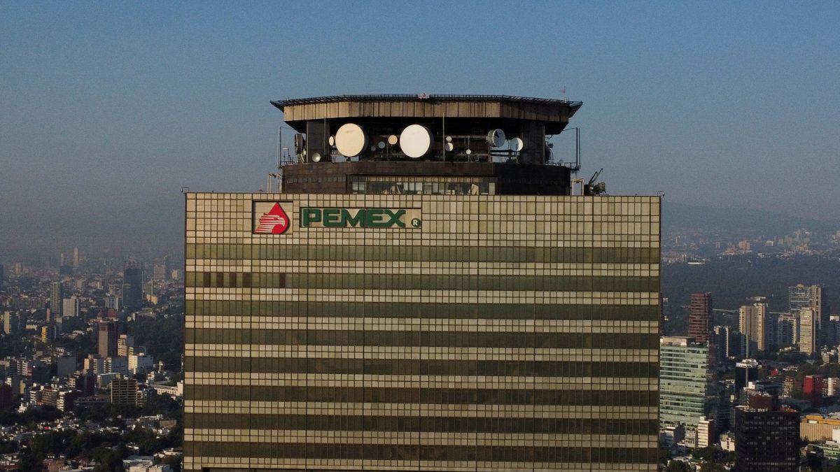 Acuerdo entre Pemex y Petrobras pone en riesgo biodiversidad del Golfo de México