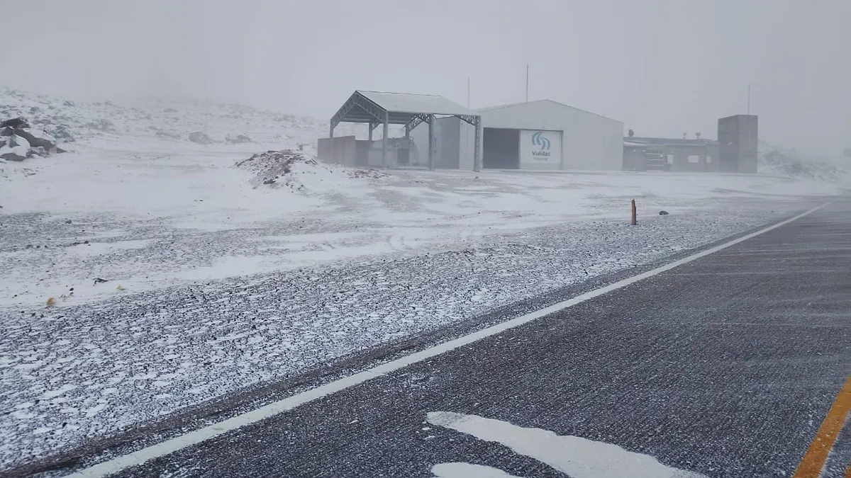 Nevadas en la cordillera: varias localidades amanecieron cubiertas de blanco