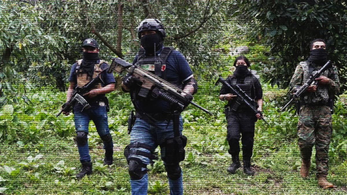 De cárteles a multinacionales: El modelo del Cártel de Sinaloa y el CJNG