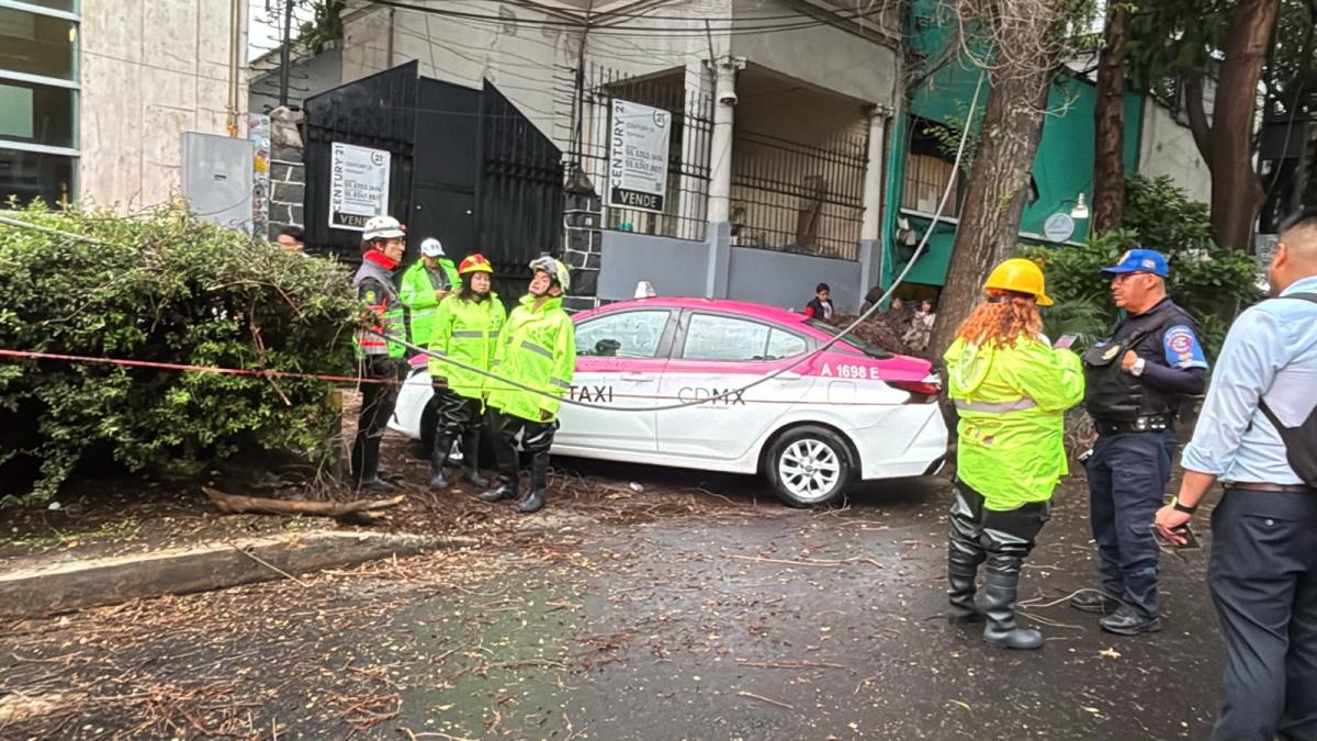 Fuertes vientos tiran rama sobre taxi en la Roma; derriba postes y cableado