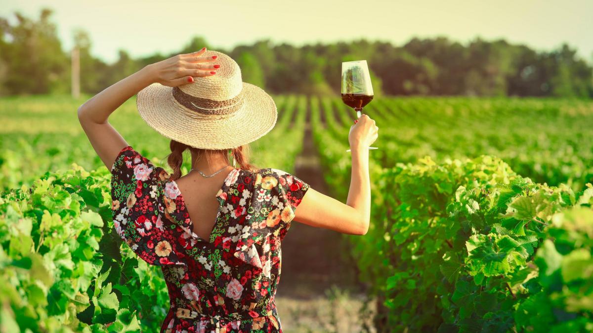 Blancos, rosados, espumosos, tintos jóvenes... más de 20 vinos para tomar al fresco