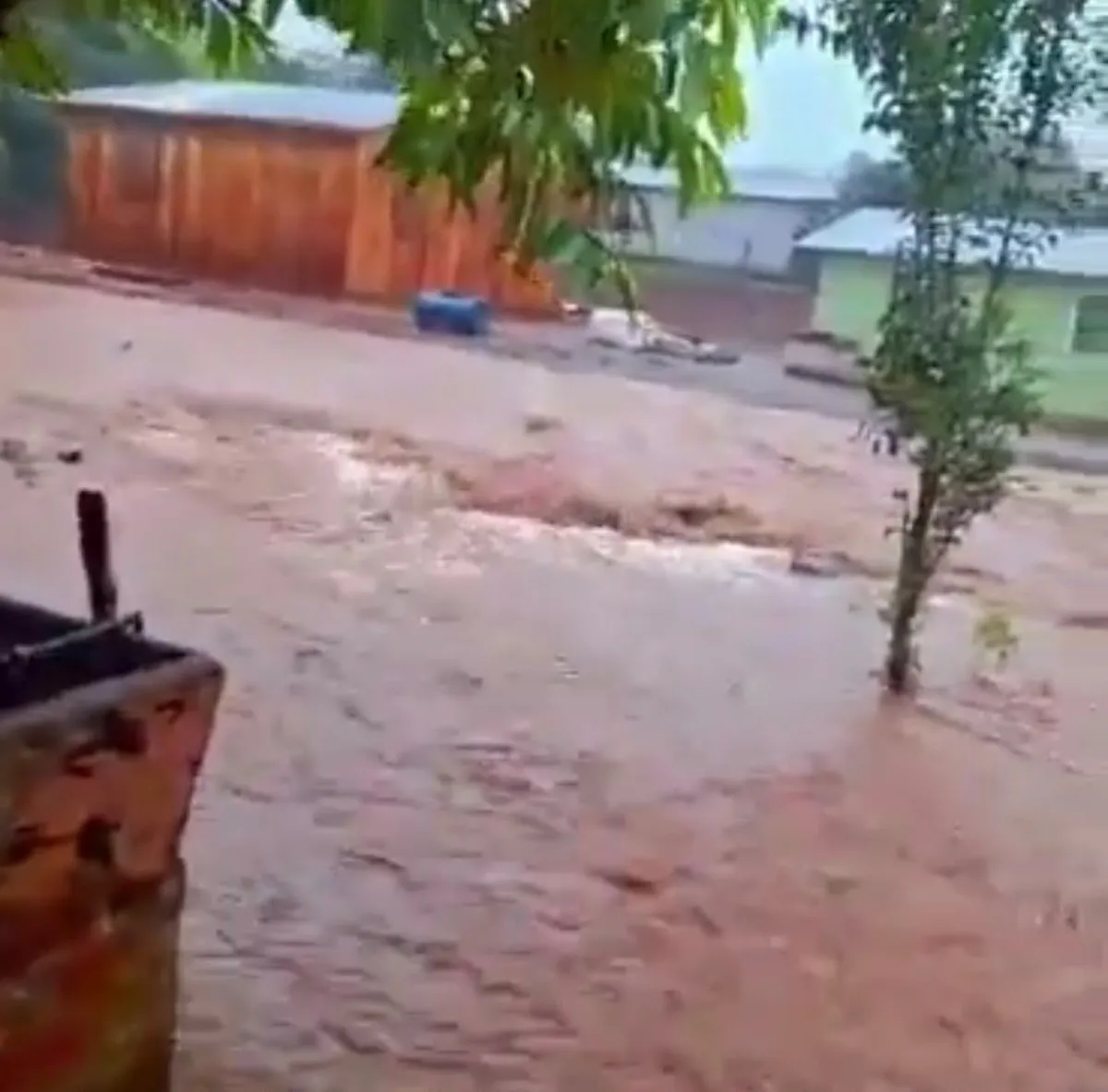 La FARM advierte por la delicada situación en zonas rurales por las lluvias