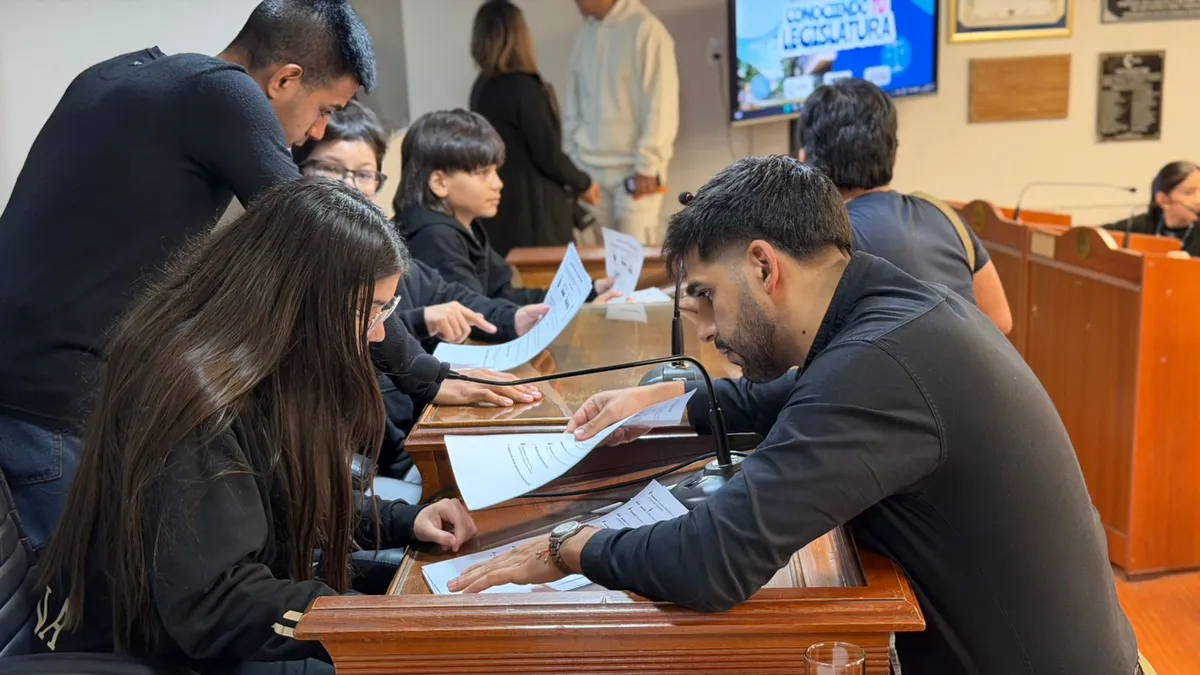 Presentan un proyecto para frenar el bullying y el ciberacoso en escuelas de la provincia