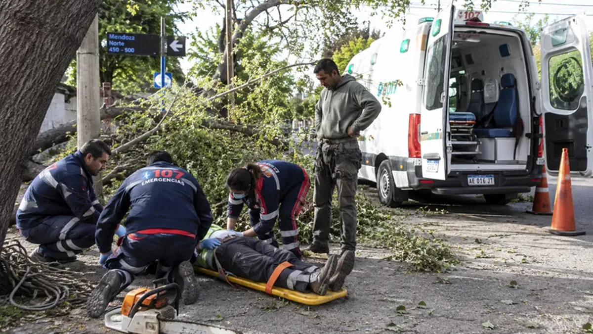 Cómo sigue el operario que quedó en coma tras una poda en Capital