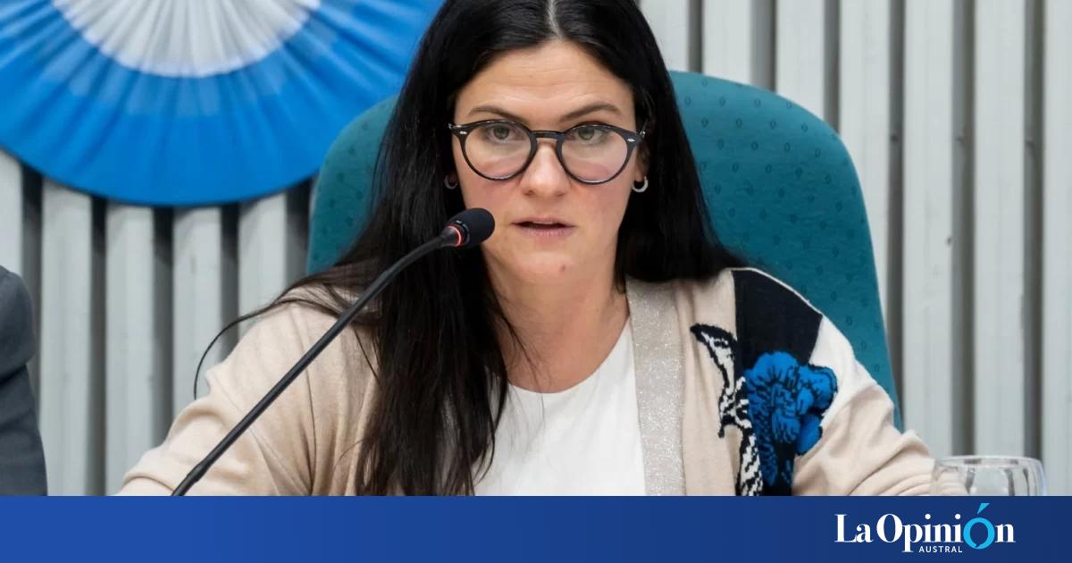 Informe en la Cámara de Diputados: Belén Elmiger afirmó que "estamos abiertos a contestar todo lo que nos pregunten"