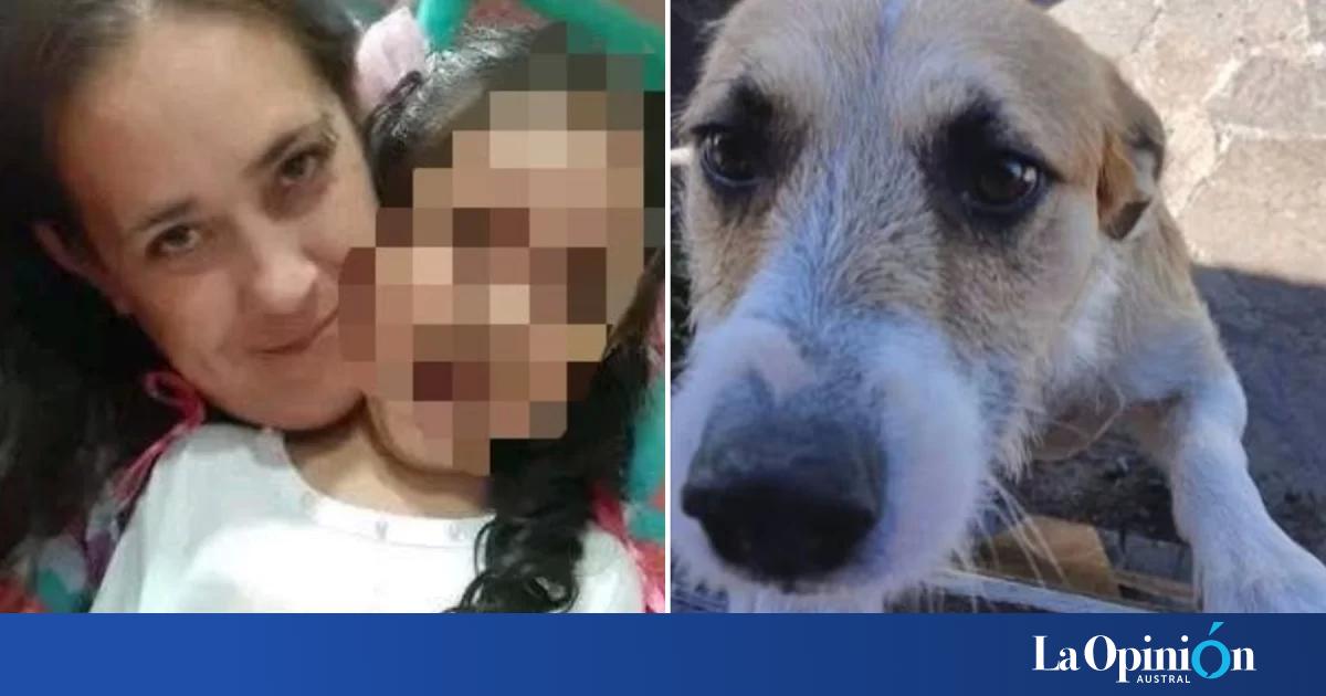 Muerte de la niña en Playa Magagna: la familia asegura que "Perejil", el perro investigado, no participó del ataque