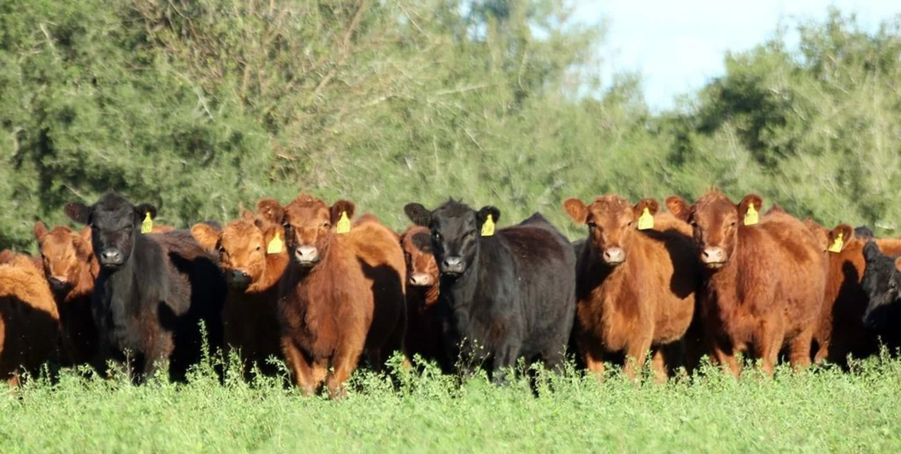 La Sociedad Rural de Santa Fe advirtió sobre el sistema VISEC y pidió cautela a los productores