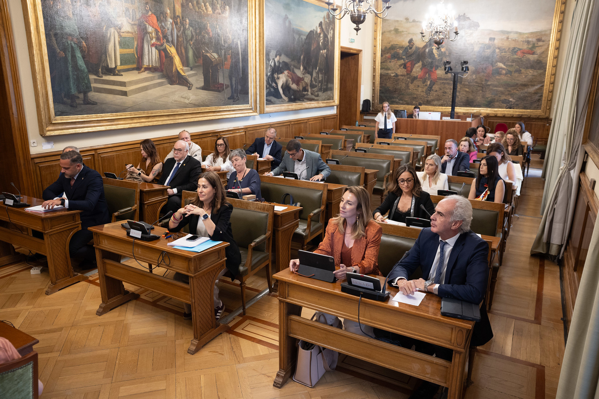 La 'hoja de ruta' de la Comisión de Sanidad del Senado frente al suicidio: "La reducción de muertes es un objetivo alcanzable con voluntad política, inversión y un marco jurídico adecuado"