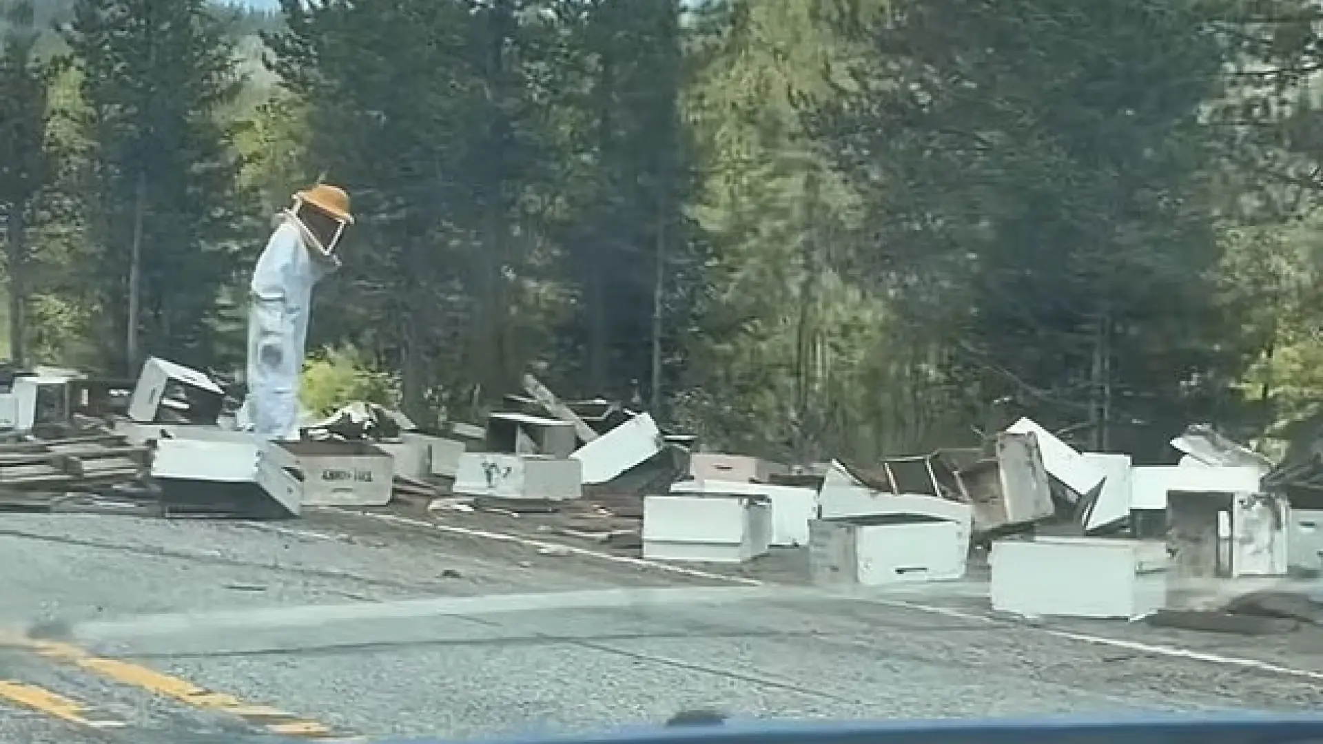 Un camión cargado con 250 millones de abejas vuelca en una autopista en EEUU y desata el caos